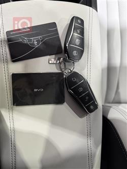 بي واي دي سيل 06 DM-i